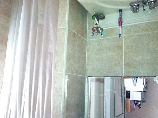 Rented by Eric Goodman Realty Corp | media 40