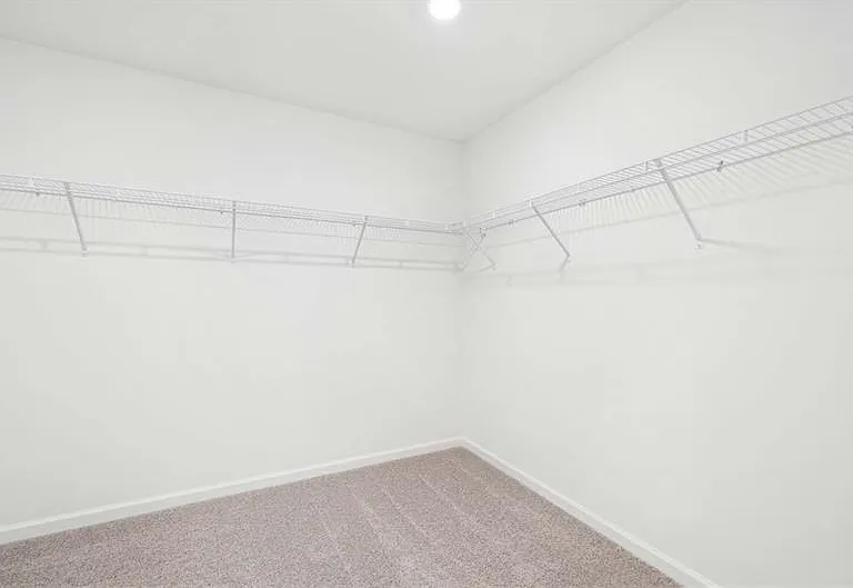 320 Silverleaf Trl — Photo 21
