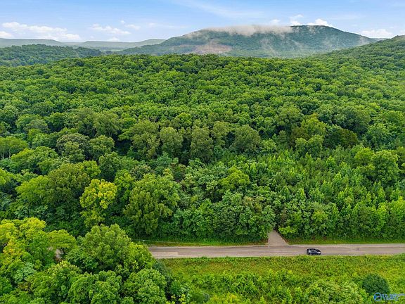4th image of 773 McCutcheon Loop Rd