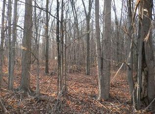 Steele Rd, Jones, MI 49061