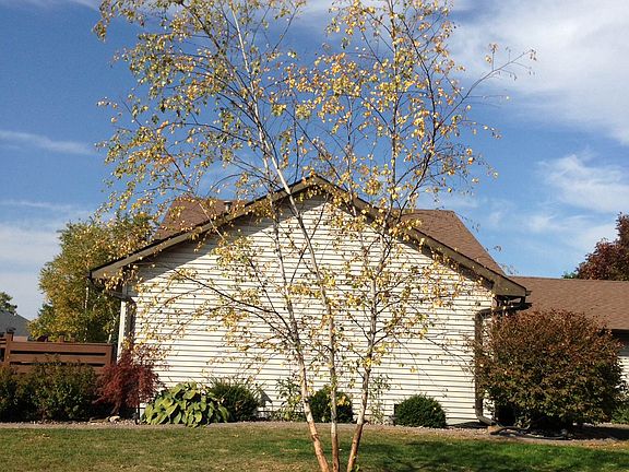 2nd image of 118 Justine Ct