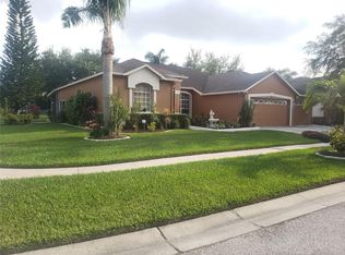 9217 Grand Palm Ct, Riverview, FL 33578