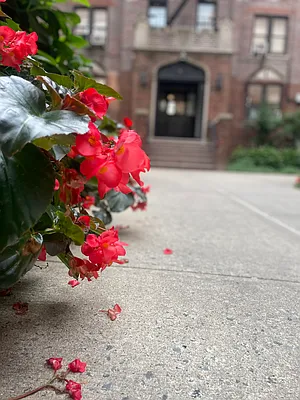 Rented by PMG Real Estate  | media 27