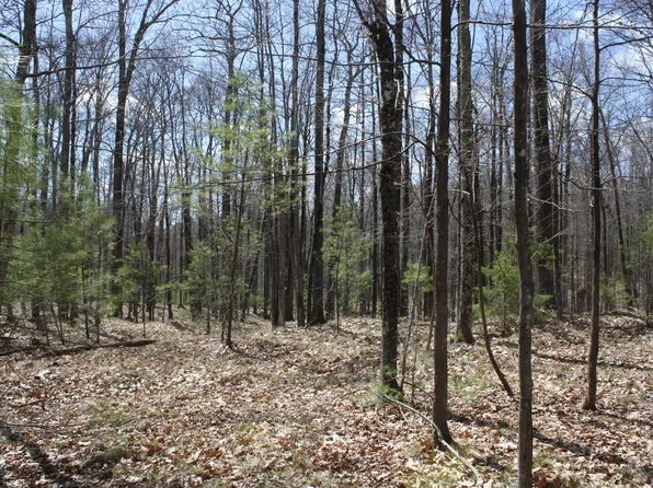 On Katie Cr 2358 #Mi-16, Minocqua, WI 54548