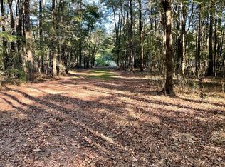 No E Lake Dr, Clinton, MS 39056