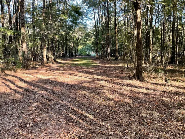 No E Lake Dr, Clinton, MS 39056