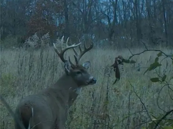 13625 E Clark Center Rd, Marshall, IL 62441