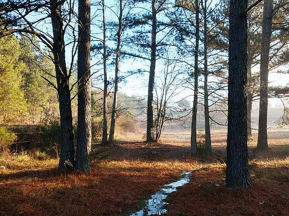 2nd image of 844 Old Stage Rd