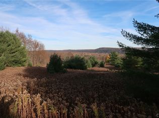 562 Fish Hill Rd #9, Marathon, NY 13803