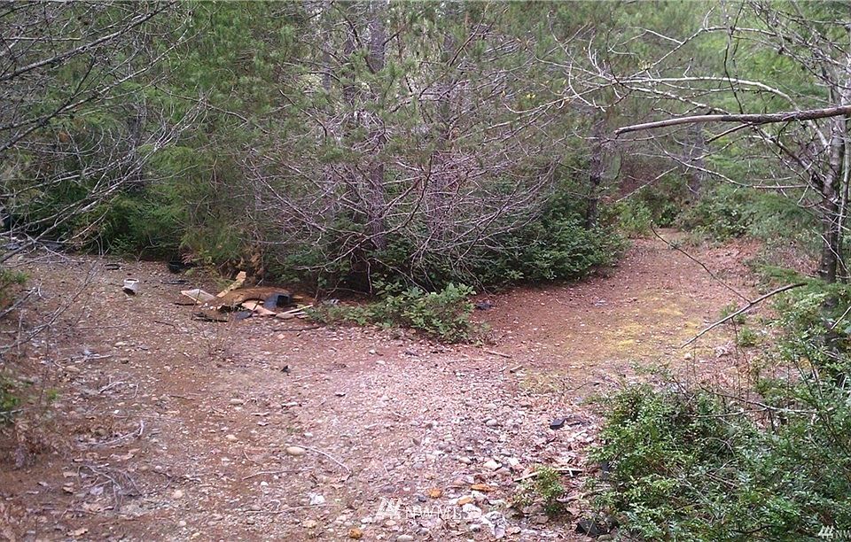 2nd image of 0 Lot B NE Shoe Lake Road