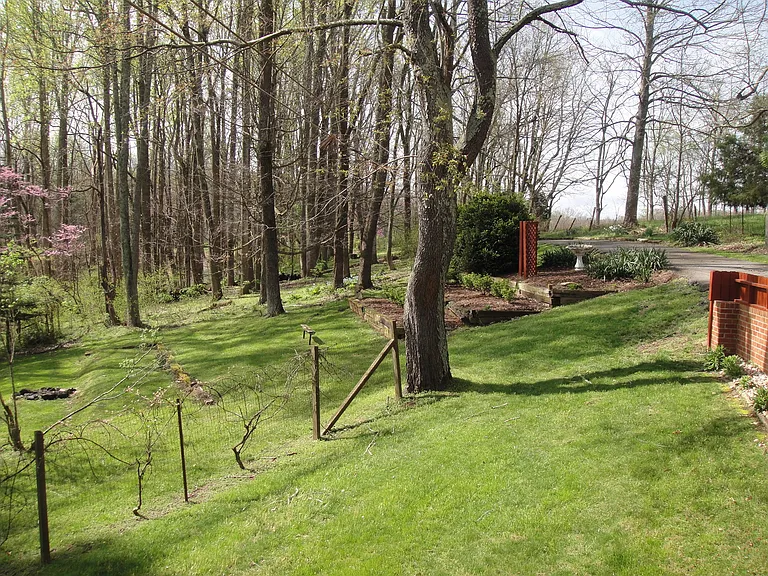 7401 Christy Rd — Photo 14