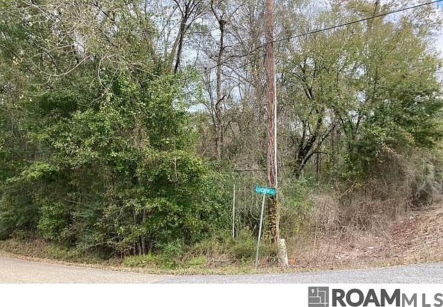 2nd image of LOT 22 Lucien St