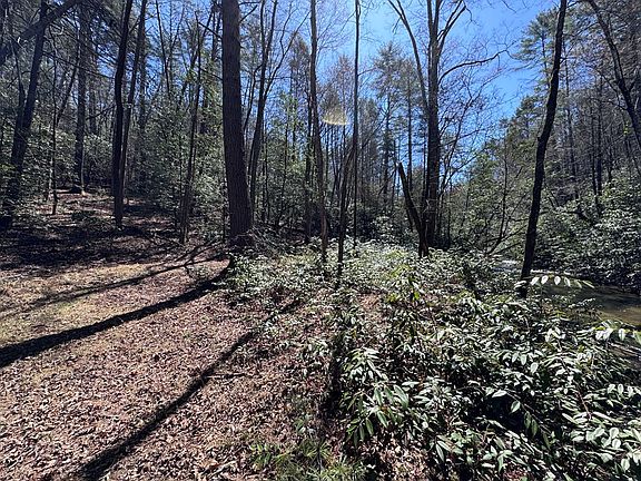 5th image of 0 Virginia Ln Lot 1