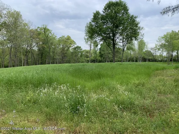 E Ridgewood Rd, Jasper, AL 35504