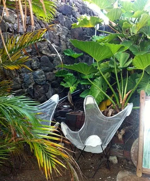 Mott Smith Dr — Photo 10
