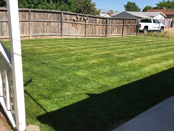 Backyard 2