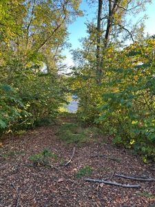 153 Poplar Ave, Camden, TN, 38320