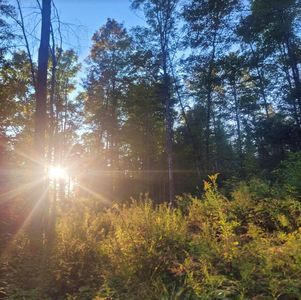 0 Sutton Road, Lyndonville, VT, 05851