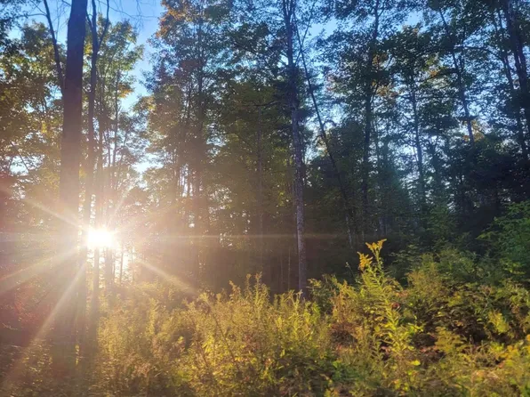 0 Sutton Road, Wheelock, VT 05851