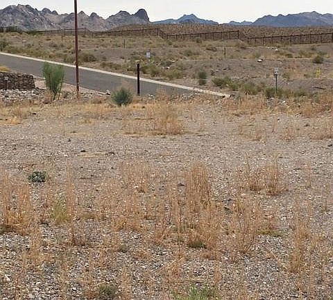 3rd image of 3015 Fort Yuma Trl