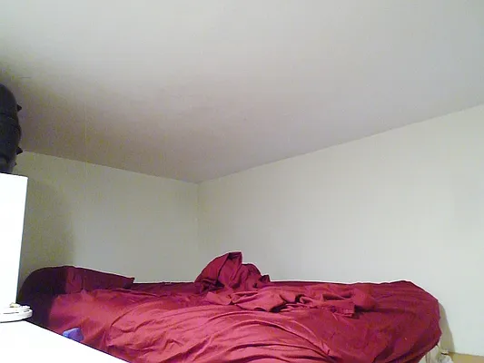 Rented by Citi Habitats | media 13