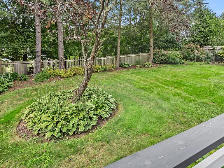 Back fenced yard