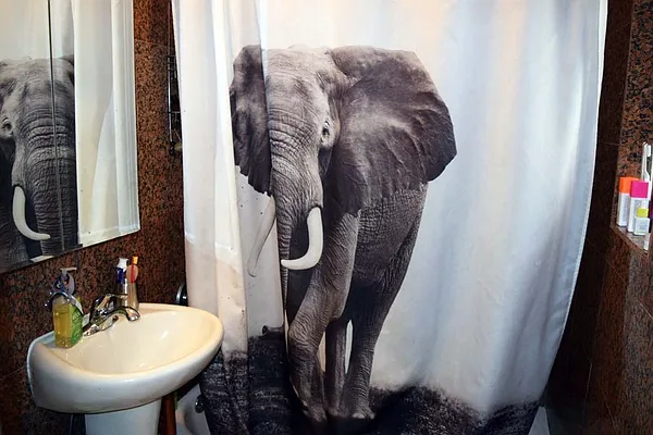 Rented by Dynamik Realty | media 18