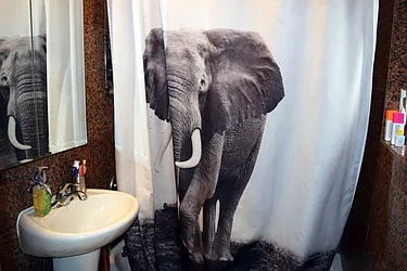 Rented by Dynamik Realty