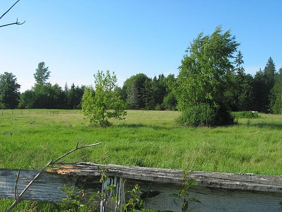 View of the property towards the woods. 