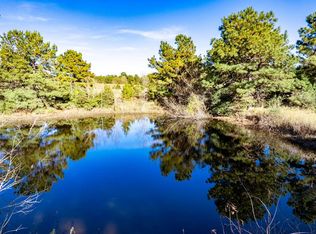 476 An County Rd #414, Palestine, TX