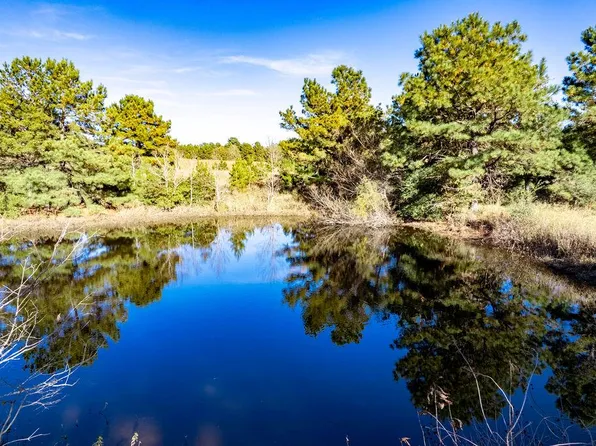 476 An County Rd #414, Palestine, TX 75803