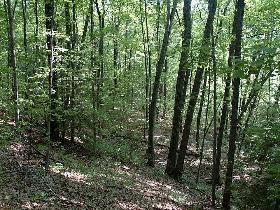 1st image of 7.14 Acres Of Wooded Land With Driveway