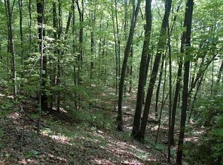 7.14 Acres Of Wooded Land With Driveway, Fitzgerald, GA 31750