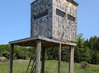 11179 Hossler Rd, Atlanta, MI 49709