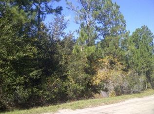 2828 Briarwood St, Bunnell, FL 32110