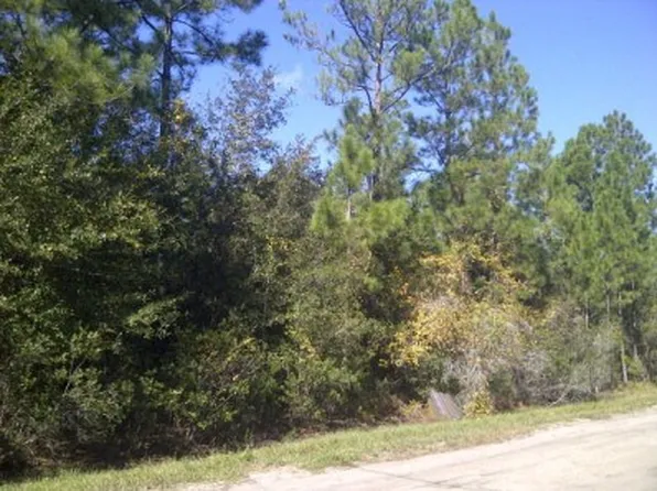 2828 Briarwood St, Bunnell, FL 32110