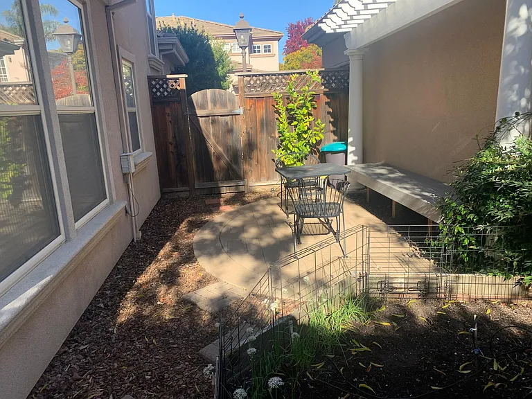 Backyard garden