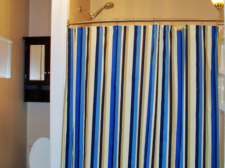 Master bathroom shower