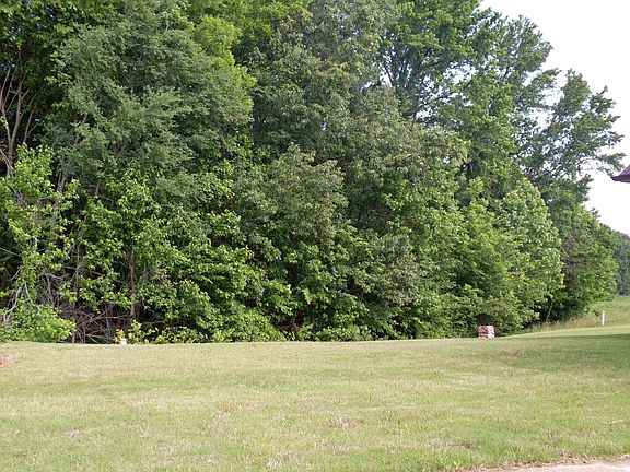 Backyard backs up to green belt