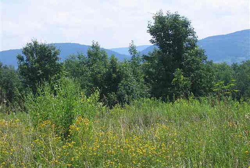 3rd image of 468 MYERS Road