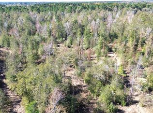 6333 Fm 1280 E, Lovelady, TX 75851