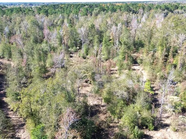 6333 Fm 1280 E, Lovelady, TX 75851