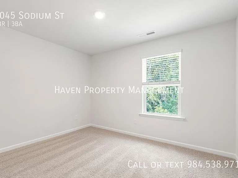 6045 Sodium St — Photo 23