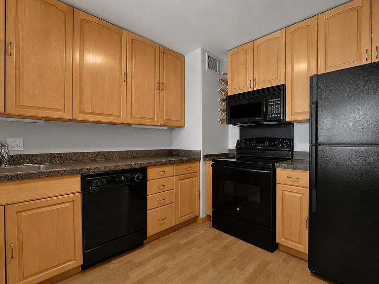 1636 N Wells St #1605 — Photo 12