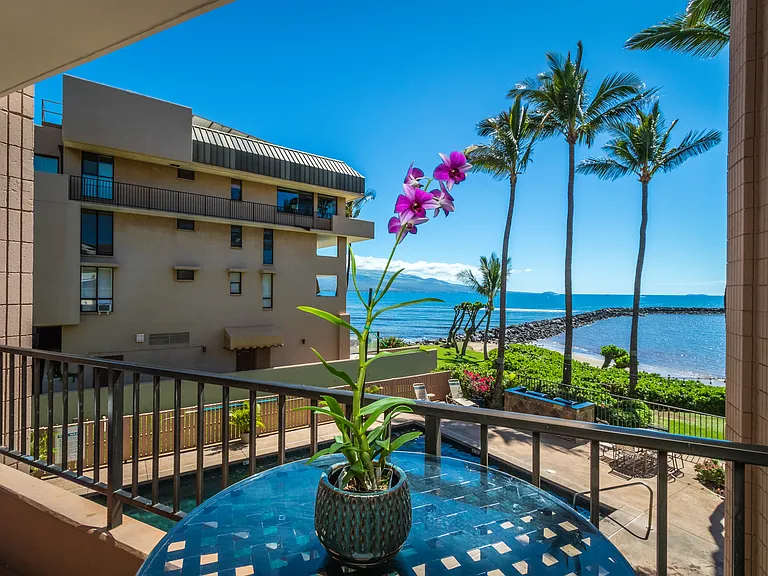 30 Hauoli St #204 — Photo 2