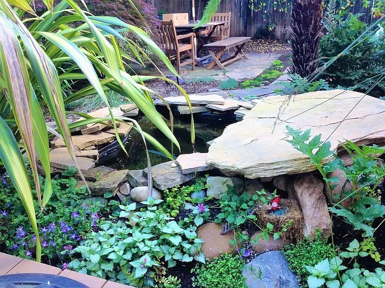 Pond with water feature