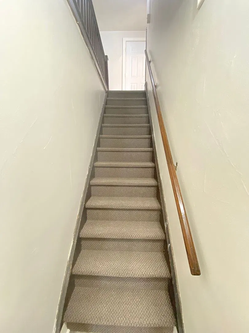 2311 Olive Street — Photo 4