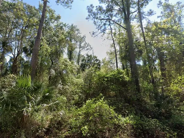 303 Siesta Dr Lot 2, Georgetown, FL 32139