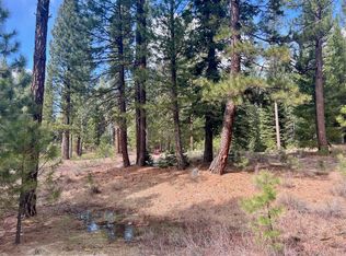 856 Prospector Dr, Clio, CA 96106