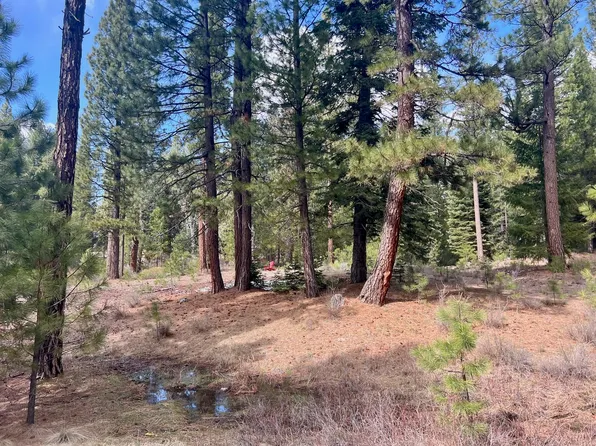 856 Prospector Dr, Clio, CA 96106